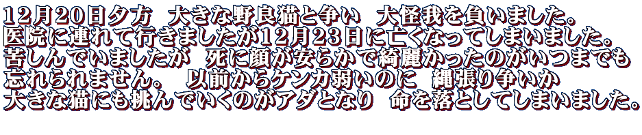 �P�Q���Q�O���[���@�傫�Ȗ�ǔL�Ƒ����@�����𕉂��܂����B ��@�ɘA��čs���܂������P�Q���Q�R���ɖS���Ȃ��Ă��܂��܂����B �ꂵ��ł��܂������@���Ɋ炪���炩���Y�킩�����̂����܂ł� �Y����܂���B�@�ȑO����P���J�ア�̂Ɂ@�꒣�葈���� �傫�ȔL�ɂ�����ł����̂��A�_�ƂȂ�@���𗎂Ƃ��Ă��܂��܂����B 